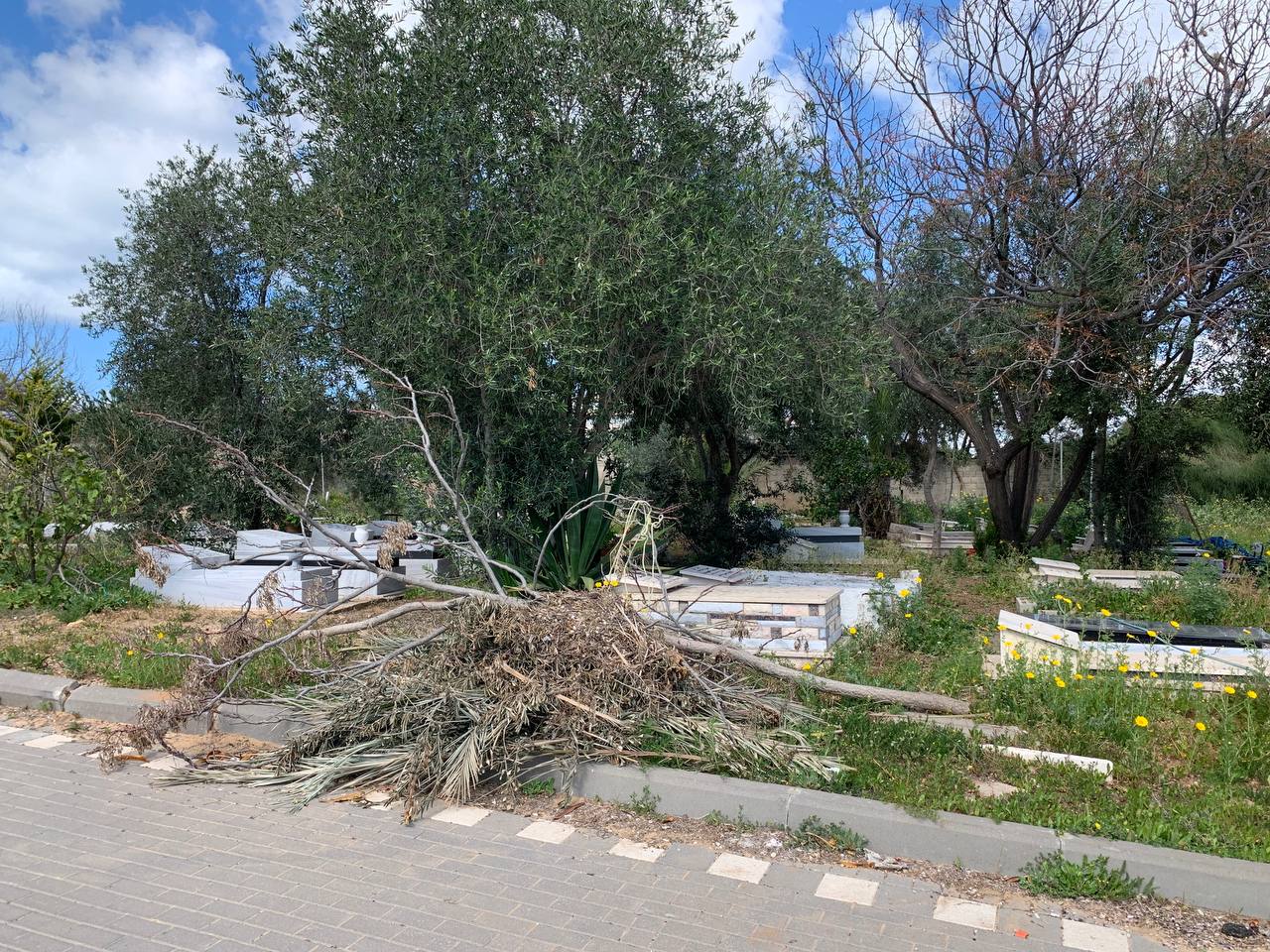 photo1678276195 (15).jpeg